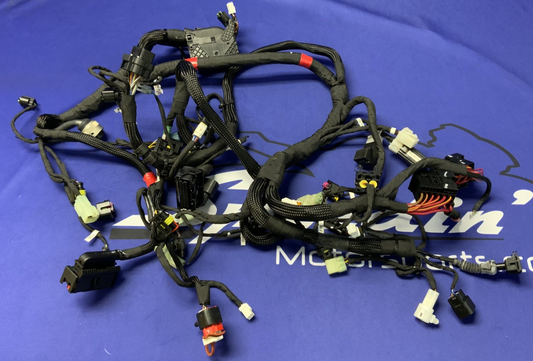 Ducati Main Wiring Harness Panigale V2 2020-2024 OEM 5101D691D