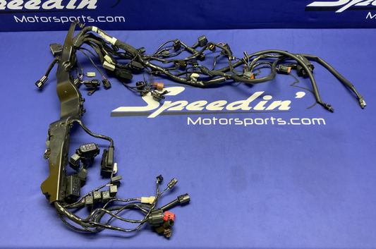 Triumph Main Wiring Harness (No Horn) Street Triple RS 23-25 OEM T2506090-1