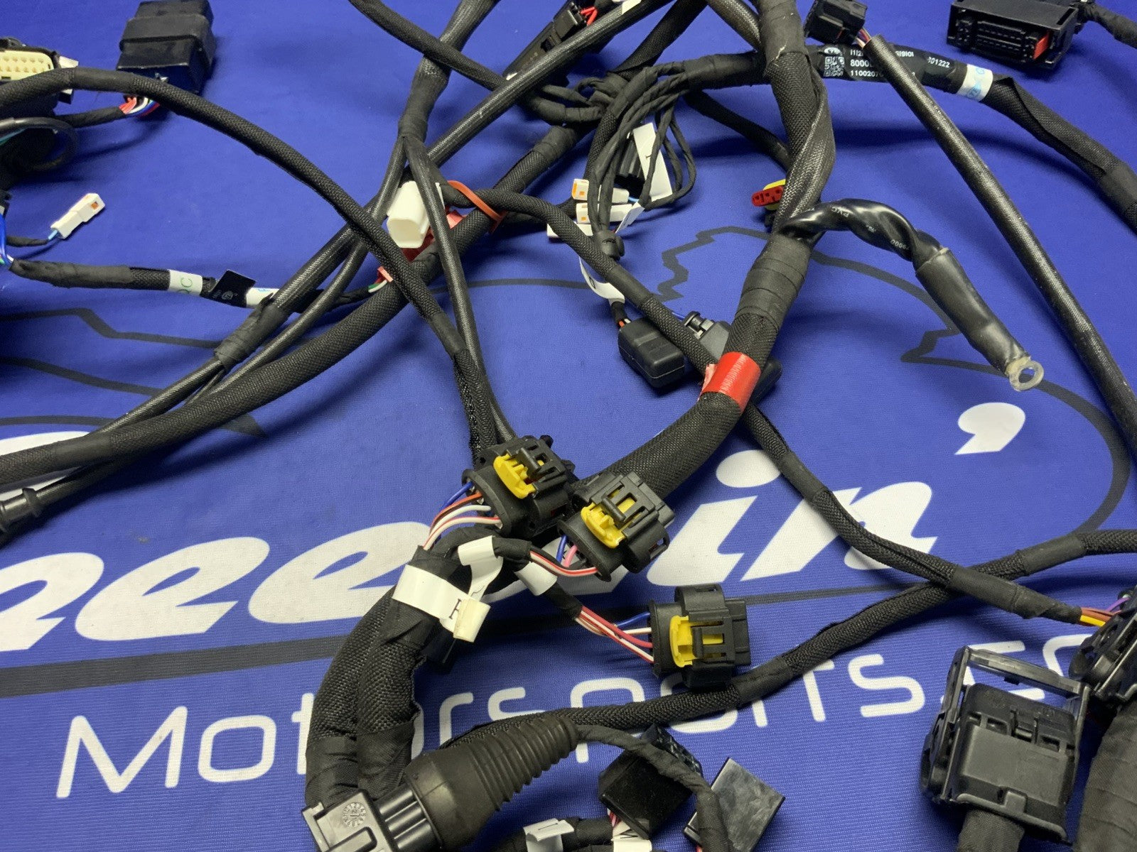 MV Agusta Wiring Harness F3R/RR 2023 OEM 8000D1225