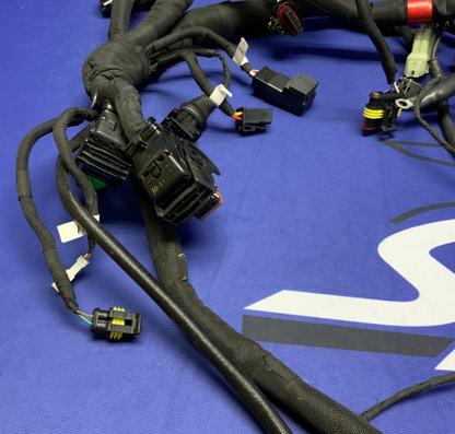 MV Agusta Wiring Harness F3R/RR 2023 OEM 8000D1225