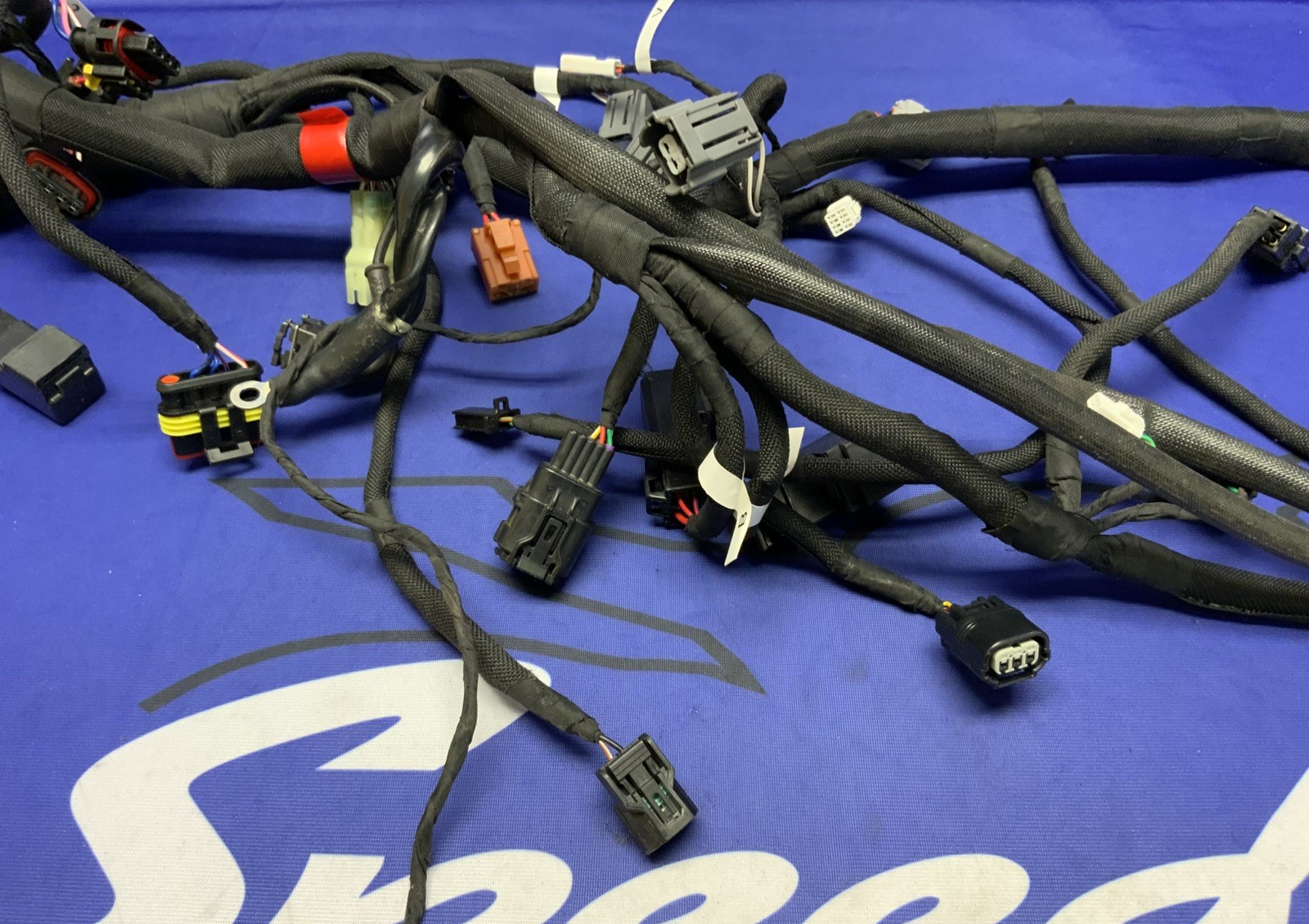 MV Agusta Wiring Harness F3R/RR 2023 OEM 8000D1225