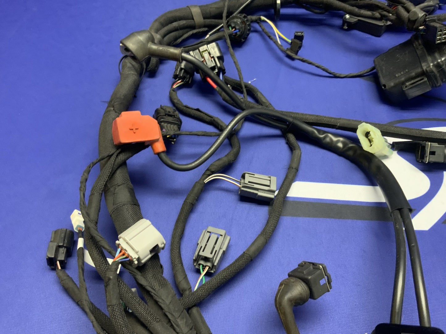 MV Agusta Wiring Harness F3R/RR 2023 OEM 8000D1225