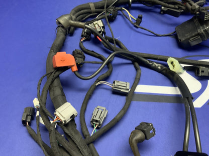MV Agusta Wiring Harness F3R/RR 2023 OEM 8000D1225