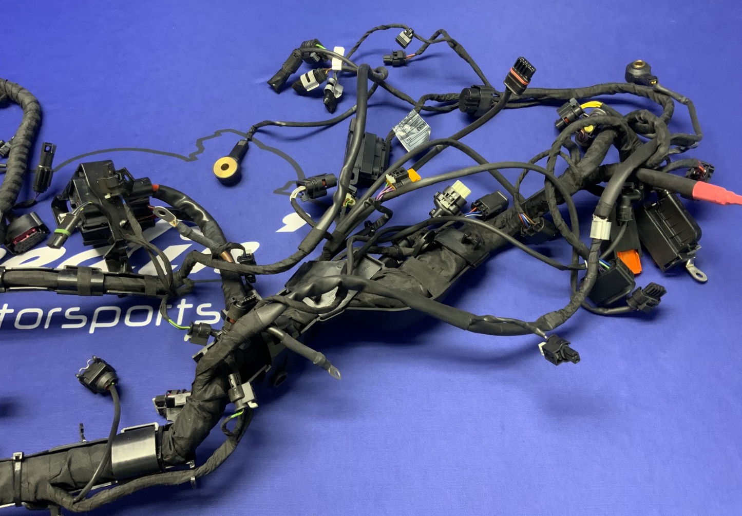 BMW Main Wire Harness S1000RR (K67) 2019-2022 OEM 61117105051