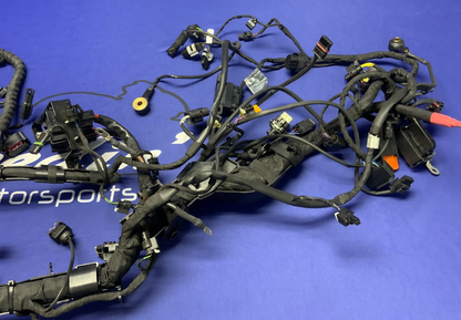 BMW Main Wire Harness S1000RR (K67) 2019-2022 OEM 61117105051