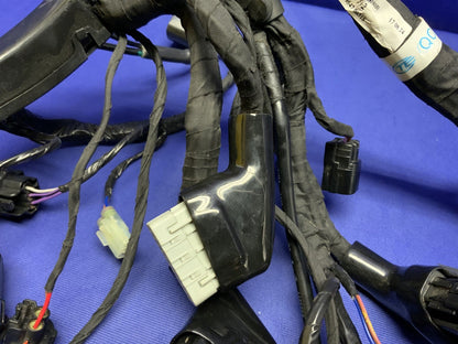 Triumph Main Wiring Harness (No Horn) Street Triple RS 23-25 OEM T2506090-1