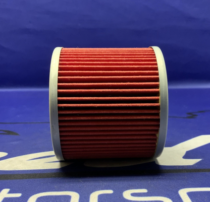 K&N Performance Oil Filter Cartridge GS500F 2004-2010 KN-133