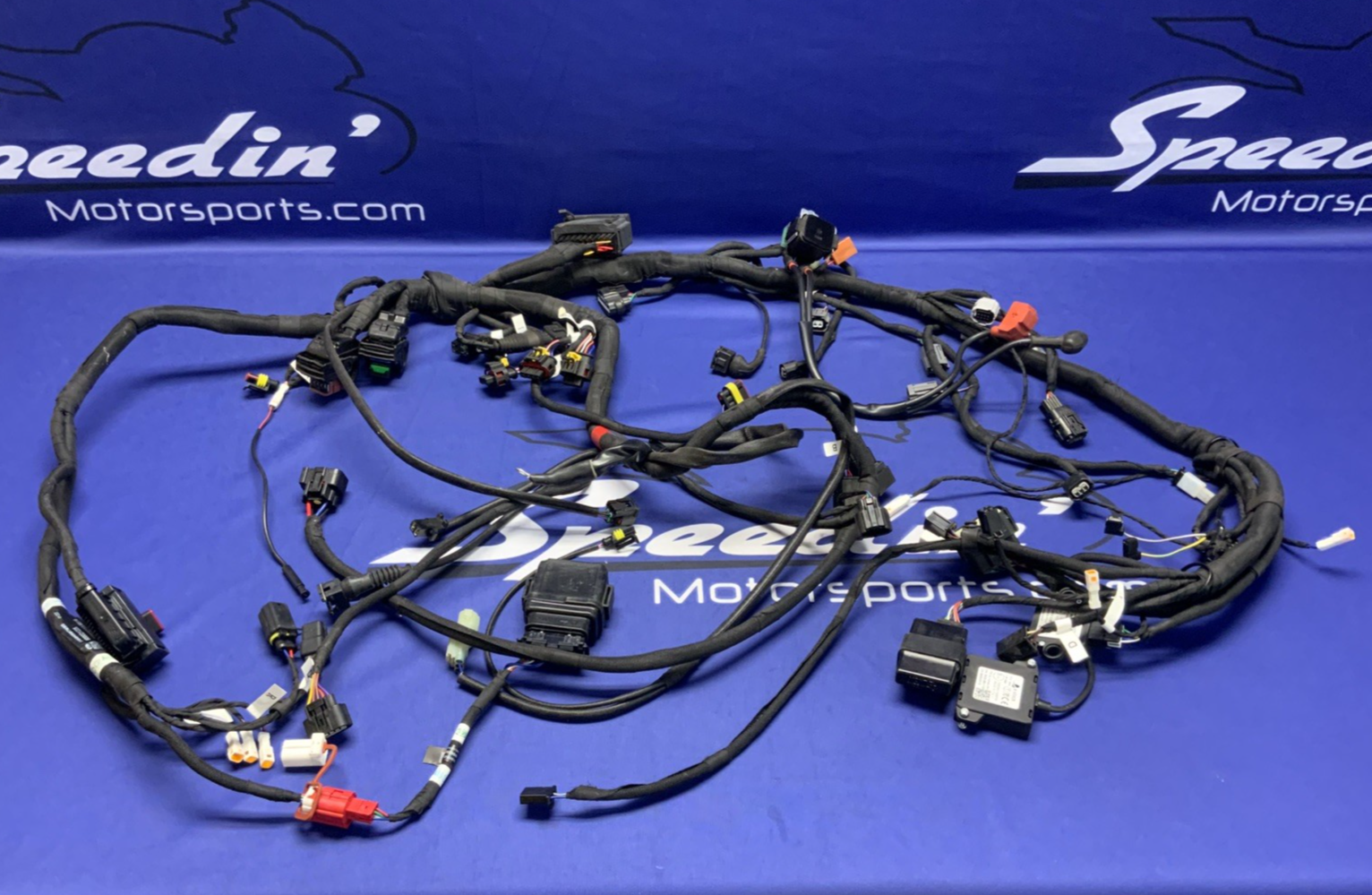MV Agusta Wiring Harness F3R/RR 2023 OEM 8000D1225