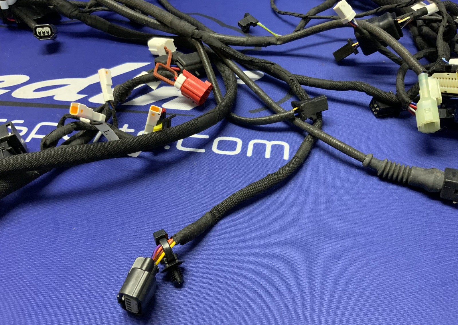 MV Agusta Wiring Harness F3R/RR 2023 OEM 8000D1225