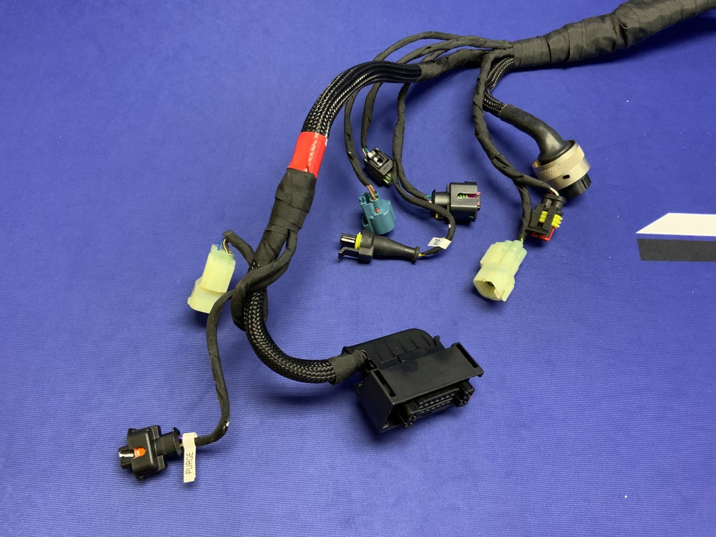 Ducati Main Wiring Harness Panigale V2 2020-2024 OEM 5101D691D