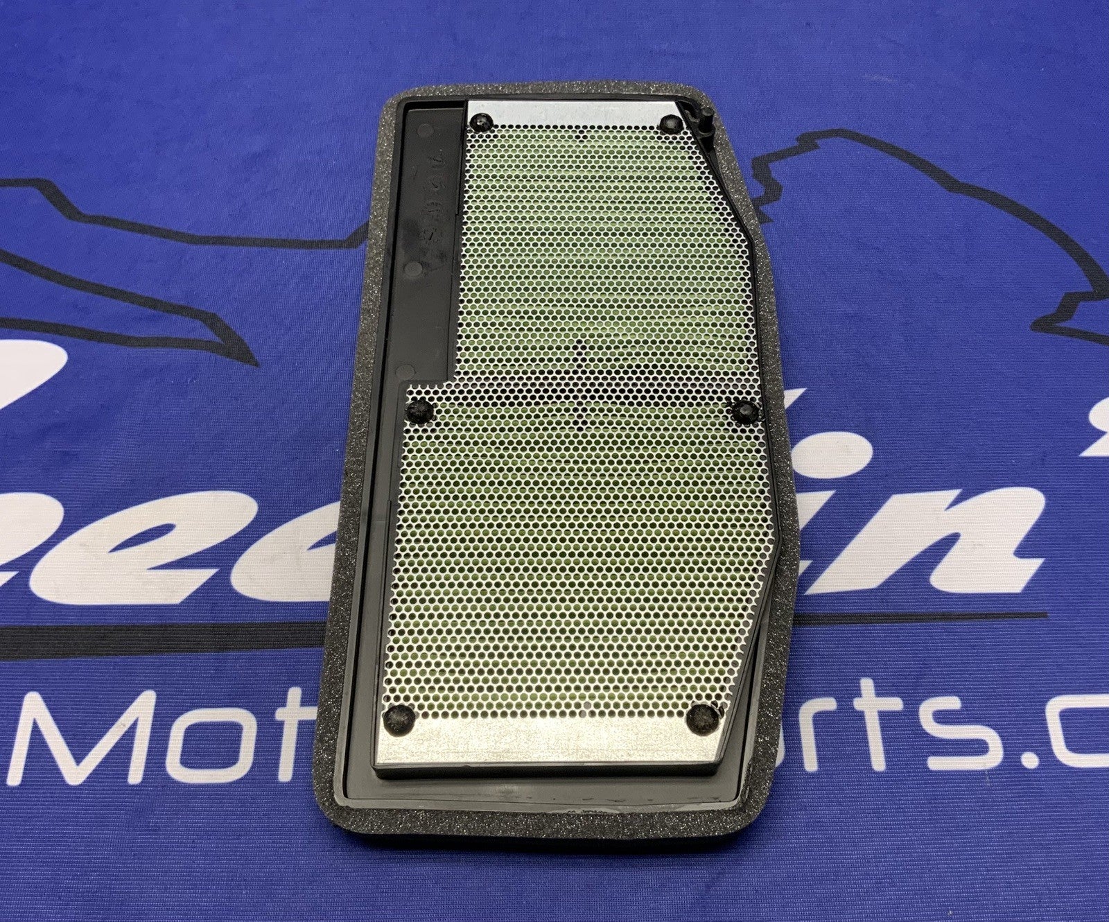 Triumph Air Filter Street Triple RS 2023-2025 OEM T2200957