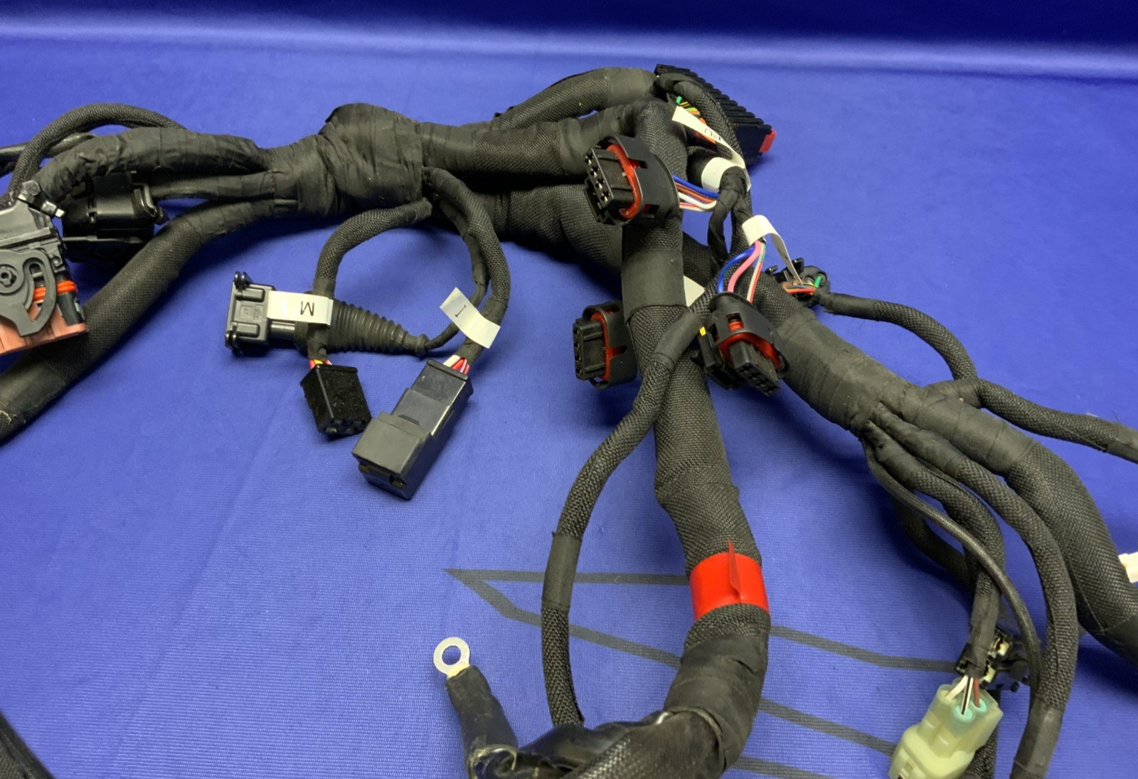 MV Agusta Wiring Harness F3R/RR 2023 OEM 8000D1225