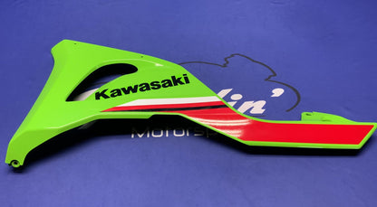 Kawasaki Left Lower Fairing (Green) ZX-6R 2019-2026 OEM 55028-0850-777