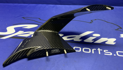 BMW Carbon Left Winglet M1000RR 2020-2023 OEM 46631542841