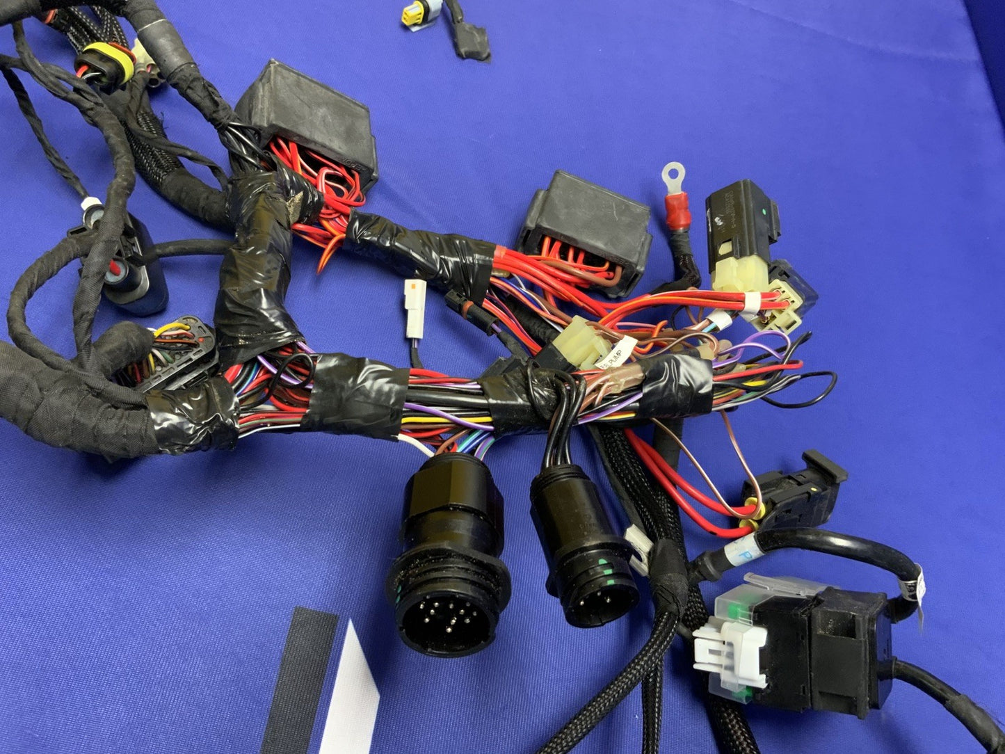 Ducati Main Wiring Harness Panigale V4 2022-2024 OEM 5101L281A