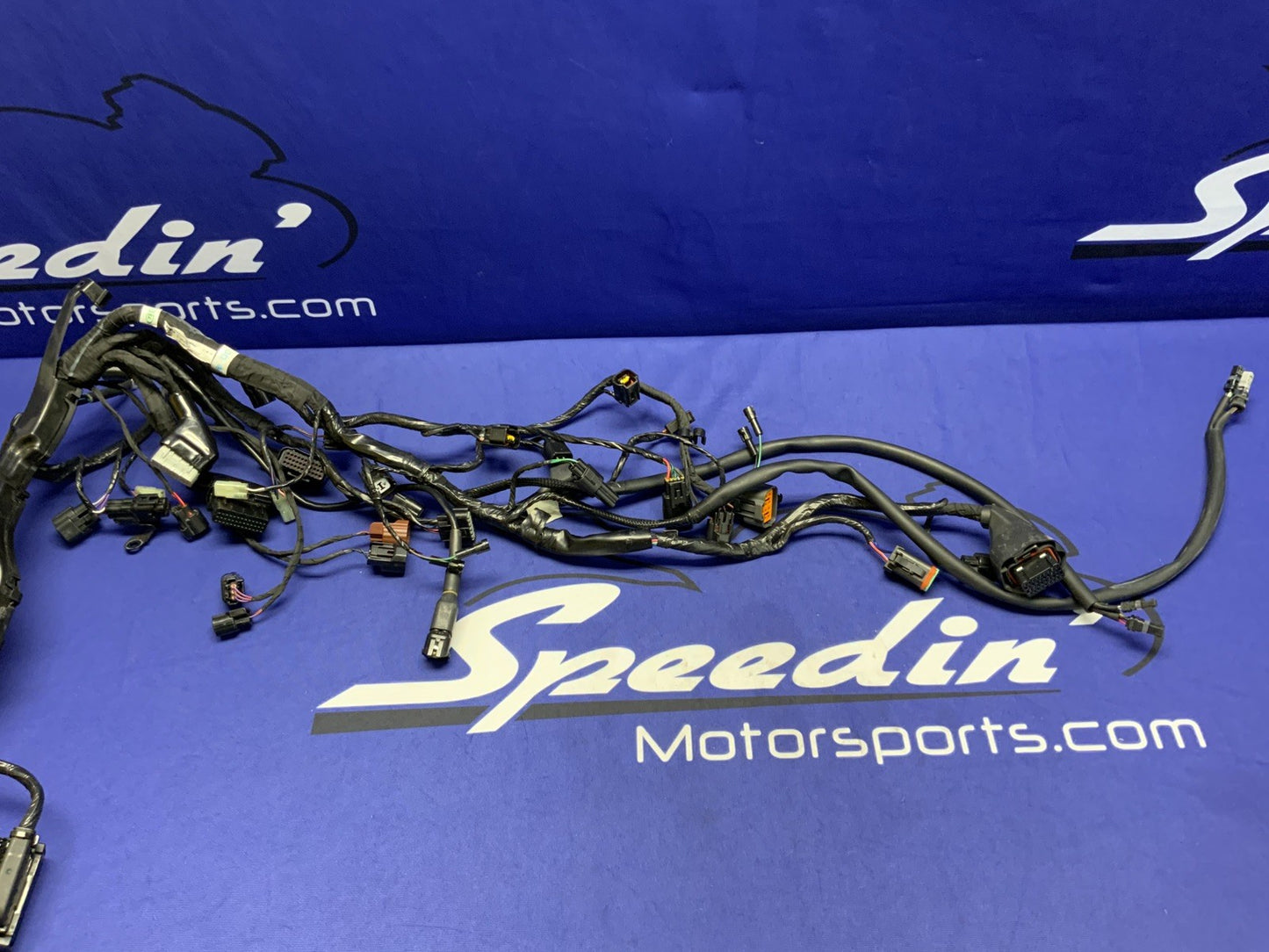 Triumph Main Wiring Harness (No Horn) Street Triple RS 23-25 OEM T2506090-1
