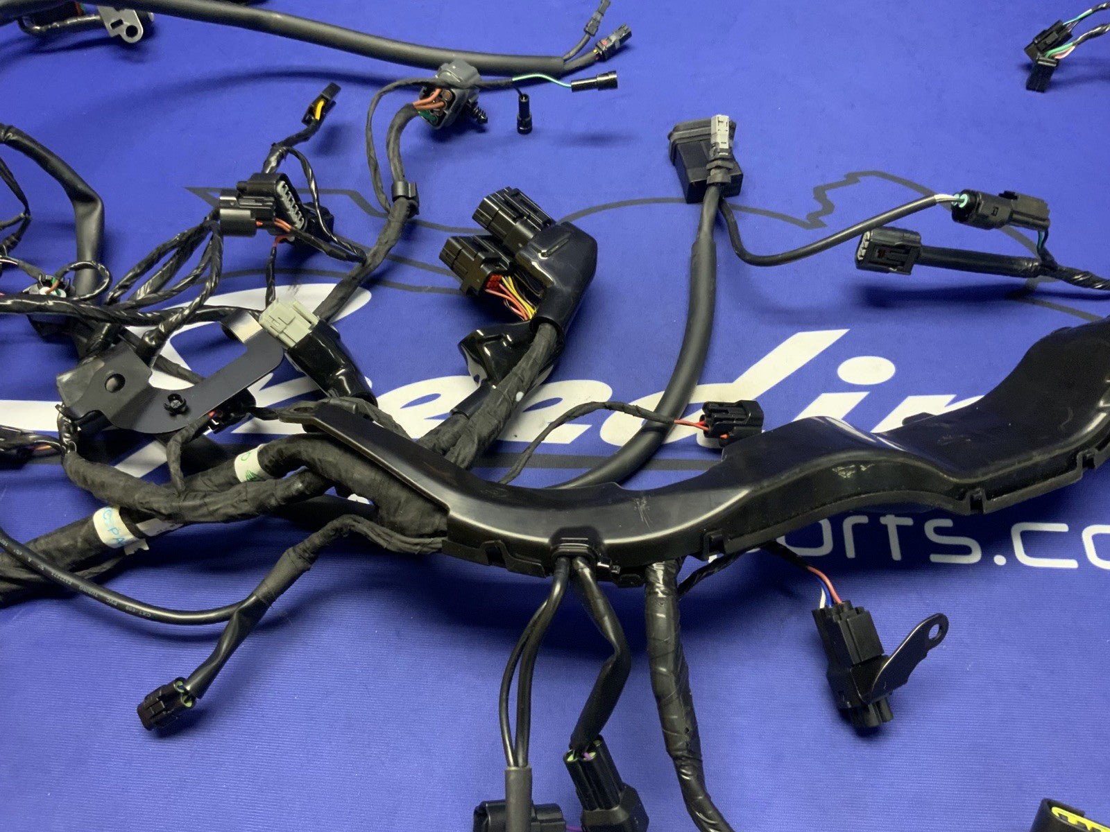 Triumph Main Wiring Harness Street Triple RS 2023-2025 OEM T2509765