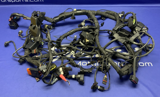 BMW Main Wire Harness S1000RR (K67) 2019-2022 OEM 61117105051