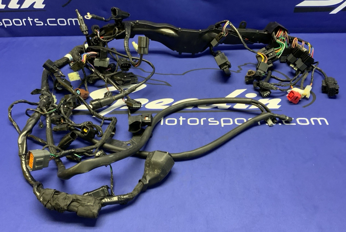 Triumph Main Wiring Harness (No Horn Connector) Street Triple 2023-2025 T2506090