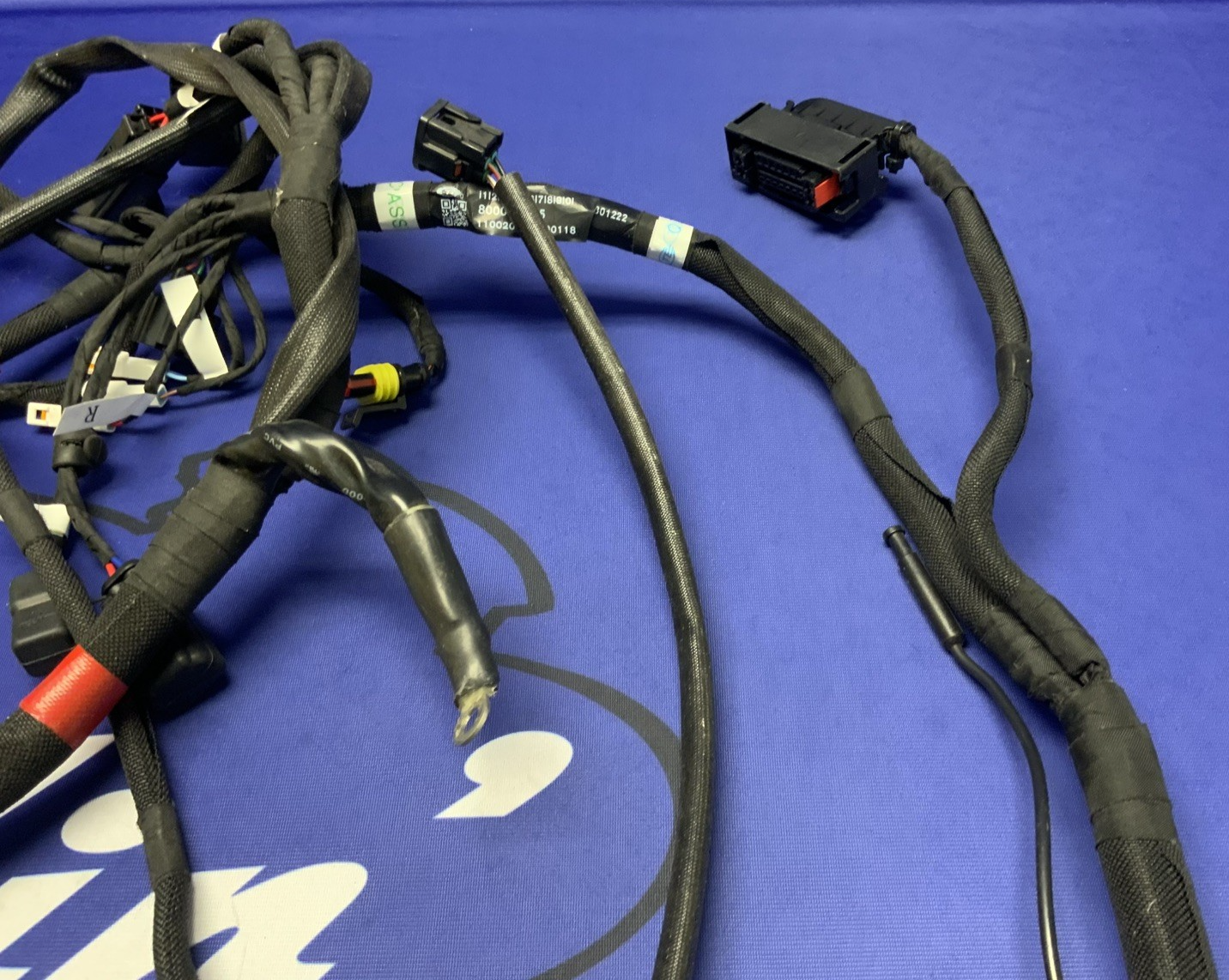 MV Agusta Wiring Harness F3R/RR 2023 OEM 8000D1225