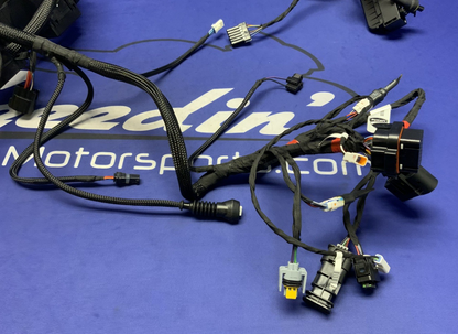 Ducati Main Wiring Harness Panigale V4 Speciale 2019 OEM 5101C371G