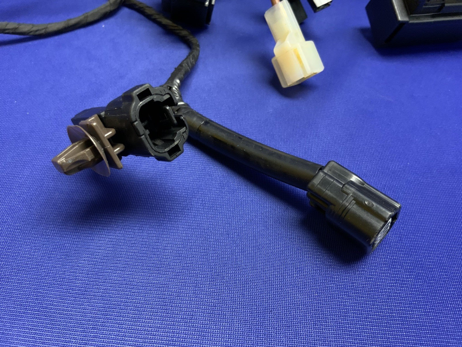 Triumph Main Wiring Harness (No Horn) Street Triple RS 23-25 OEM T2506090-1