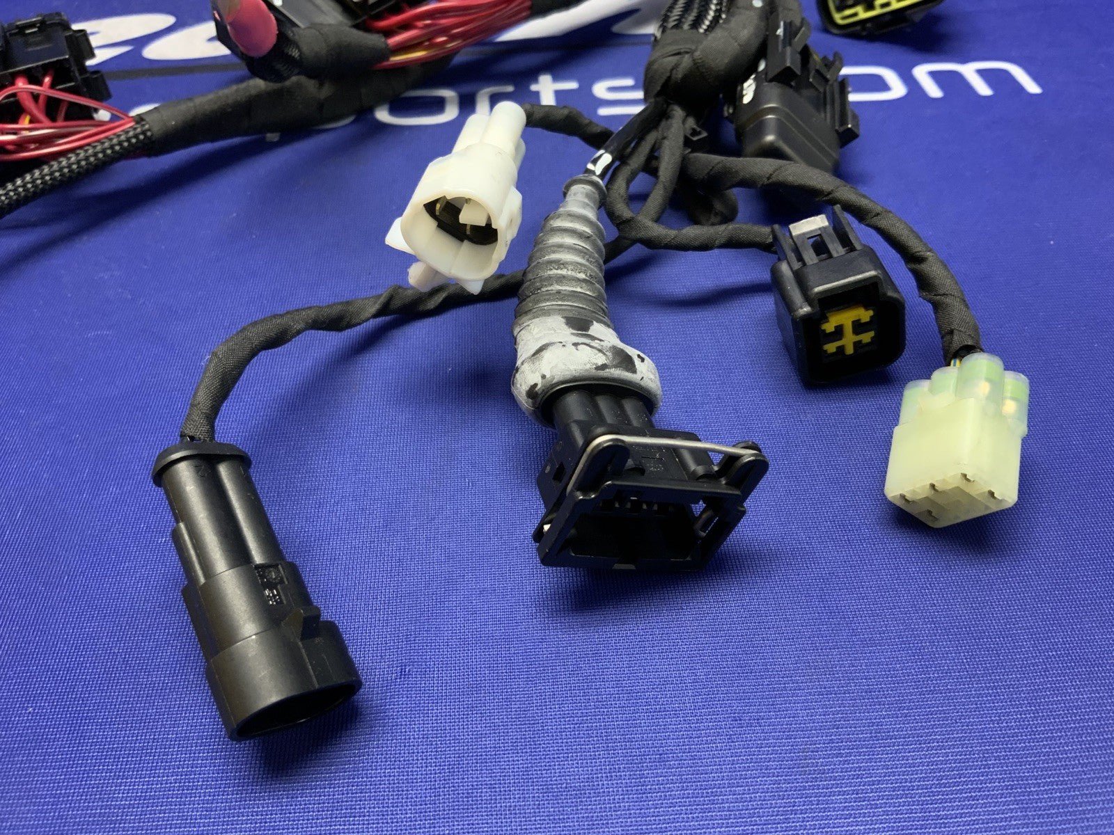 Ducati Main Wiring Harness Panigale V2 2020-2024 OEM 5101D691D