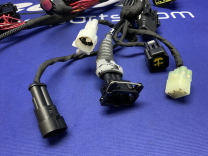 Ducati Main Wiring Harness Panigale V2 2020-2024 OEM 5101D691D