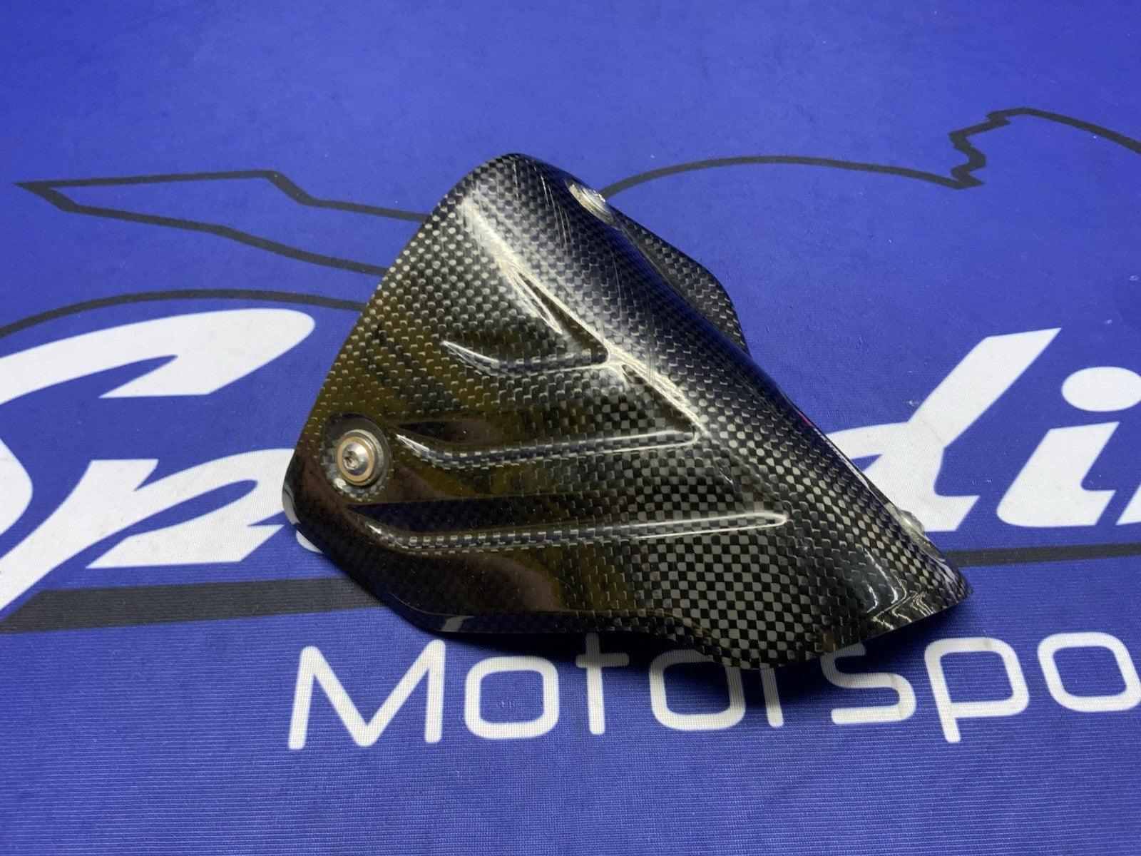 Akrapovic Carbon Fiber Heat Shield BMW S10000RR/M1000RR 2019-2022 P-HSB10E3