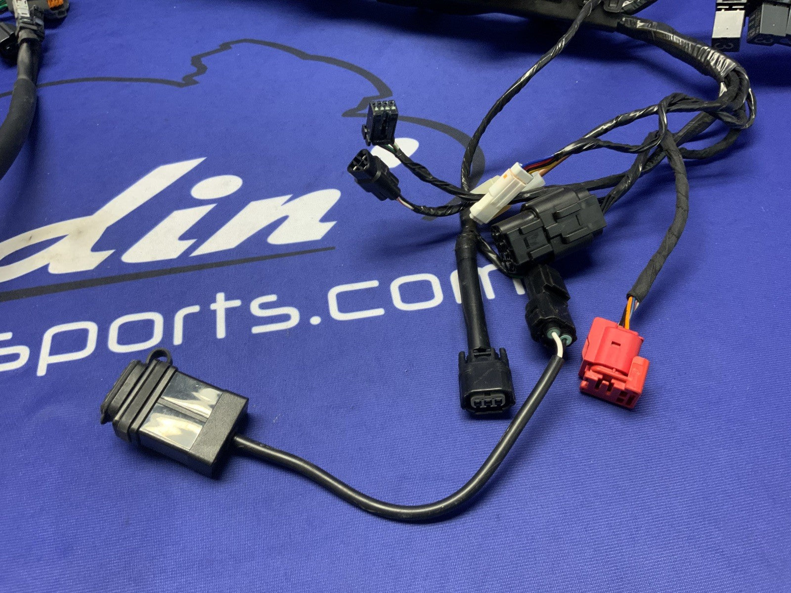 Triumph Main Wiring Harness Street Triple RS 2023-2025 OEM T2509765