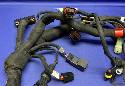 MV Agusta Wiring Harness F3R/RR 2023 OEM 8000D1225