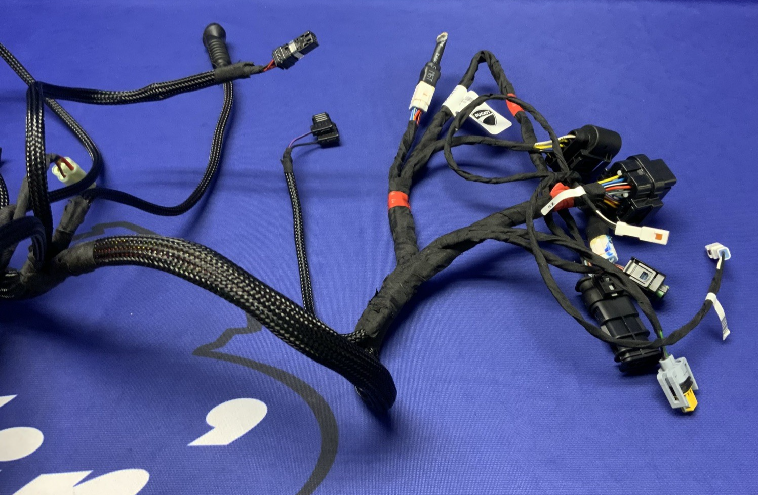 Ducati Main Wiring Harness Panigale V4 Speciale 2019 OEM 5101C371G