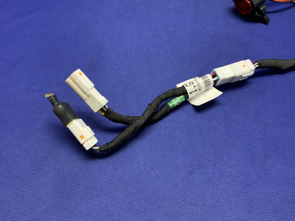 Ducati Main Wiring Harness Panigale V2 2020-2024 OEM 5101D691D