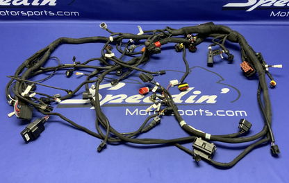 MV Agusta Wiring Harness F3R/RR 2023 OEM 8000D1225