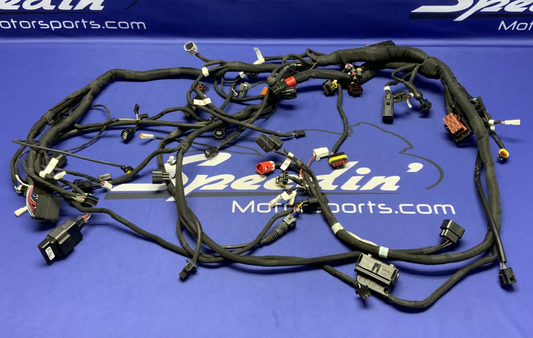 MV Agusta Wiring Harness F3R/RR 2023 OEM 8000D1225