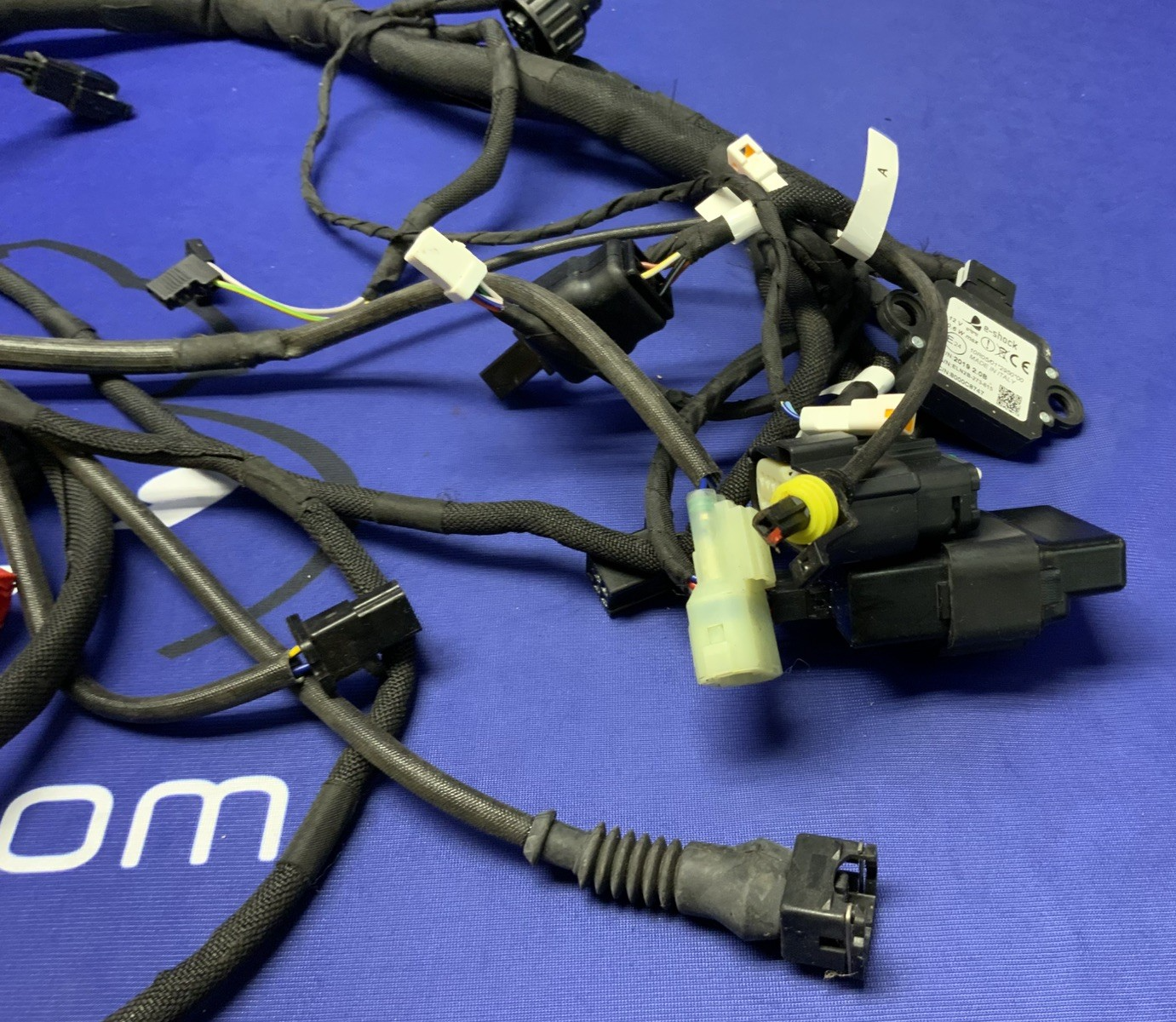 MV Agusta Wiring Harness F3R/RR 2023 OEM 8000D1225