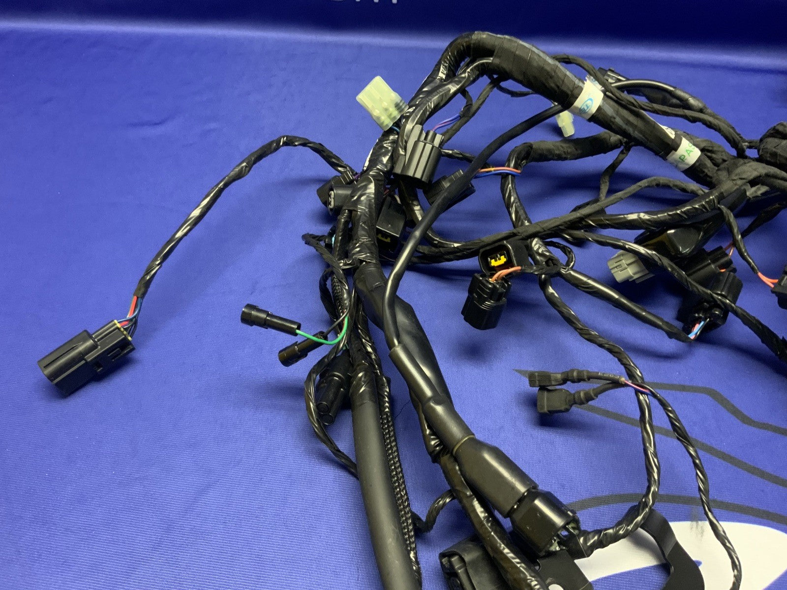 Triumph Main Wiring Harness Street Triple RS 2023-2025 OEM T2509765