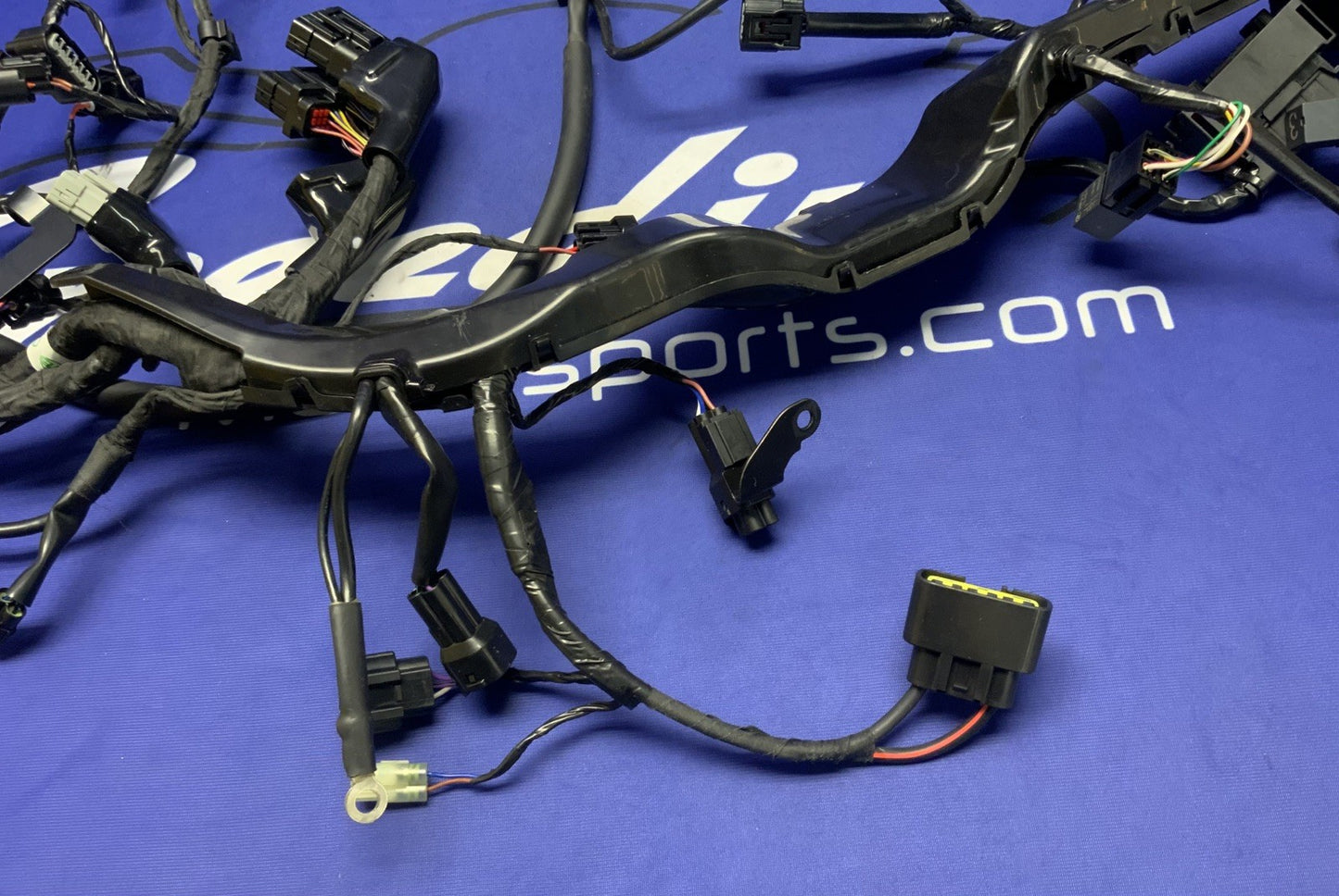 Triumph Main Wiring Harness Street Triple RS 2023-2025 OEM T2509765