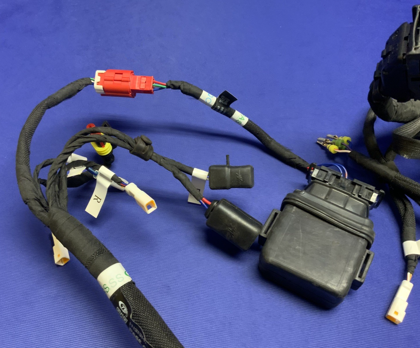 MV Agusta Wiring Harness F3R/RR 2023 OEM 8000D1225