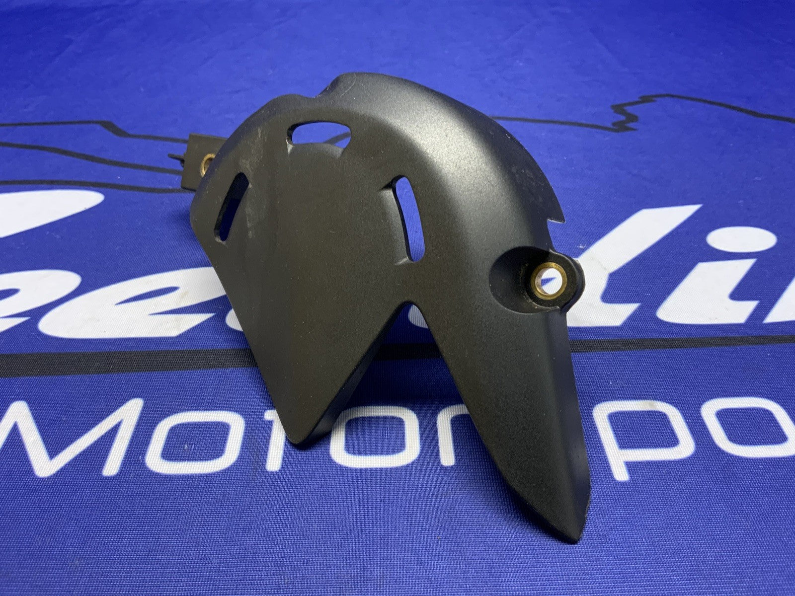 Ducati Chain Pinon Cover Panigale V4 SP2 2018-2024 OEM 4601G582A