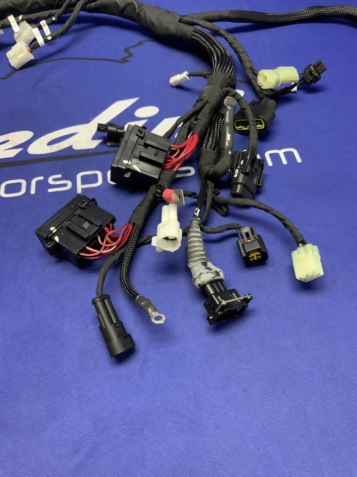 Ducati Main Wiring Harness Panigale V2 2020-2024 OEM 5101D691D