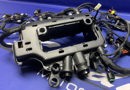 Ducati Main Wiring Harness Panigale V4 Speciale 2019 OEM 5101C371G