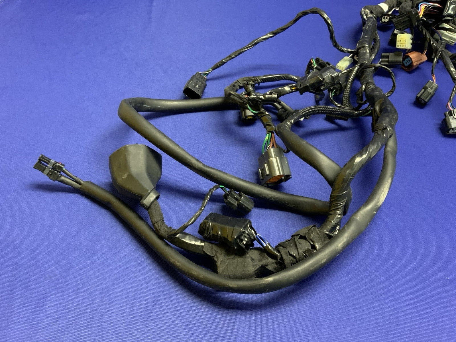 Triumph Main Wiring Harness (No Horn Connector) Street Triple 2023-2025 T2506090