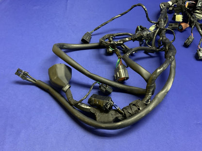 Triumph Main Wiring Harness (No Horn Connector) Street Triple 2023-2025 T2506090