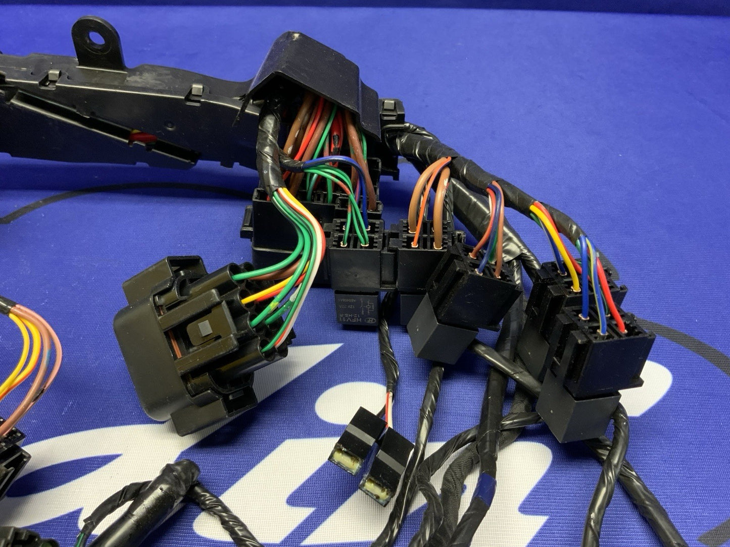 Triumph Main Wiring Harness (No Horn Connector) Street Triple 2023-2025 T2506090