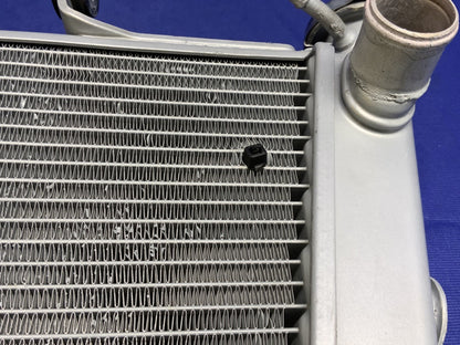 Aprilia Radiator Assembly W/ Guard RSV4 2013-2020 OEM 2B0038346 