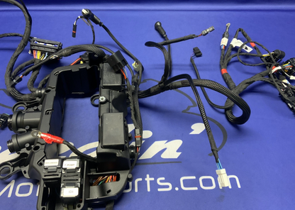 Ducati Main Wiring Harness Panigale V4 Speciale 2019 OEM 5101C371G
