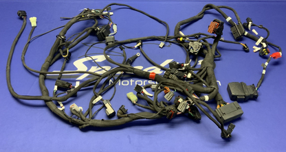 MV Agusta Wiring Harness F3R/RR 2023 OEM 8000D1225