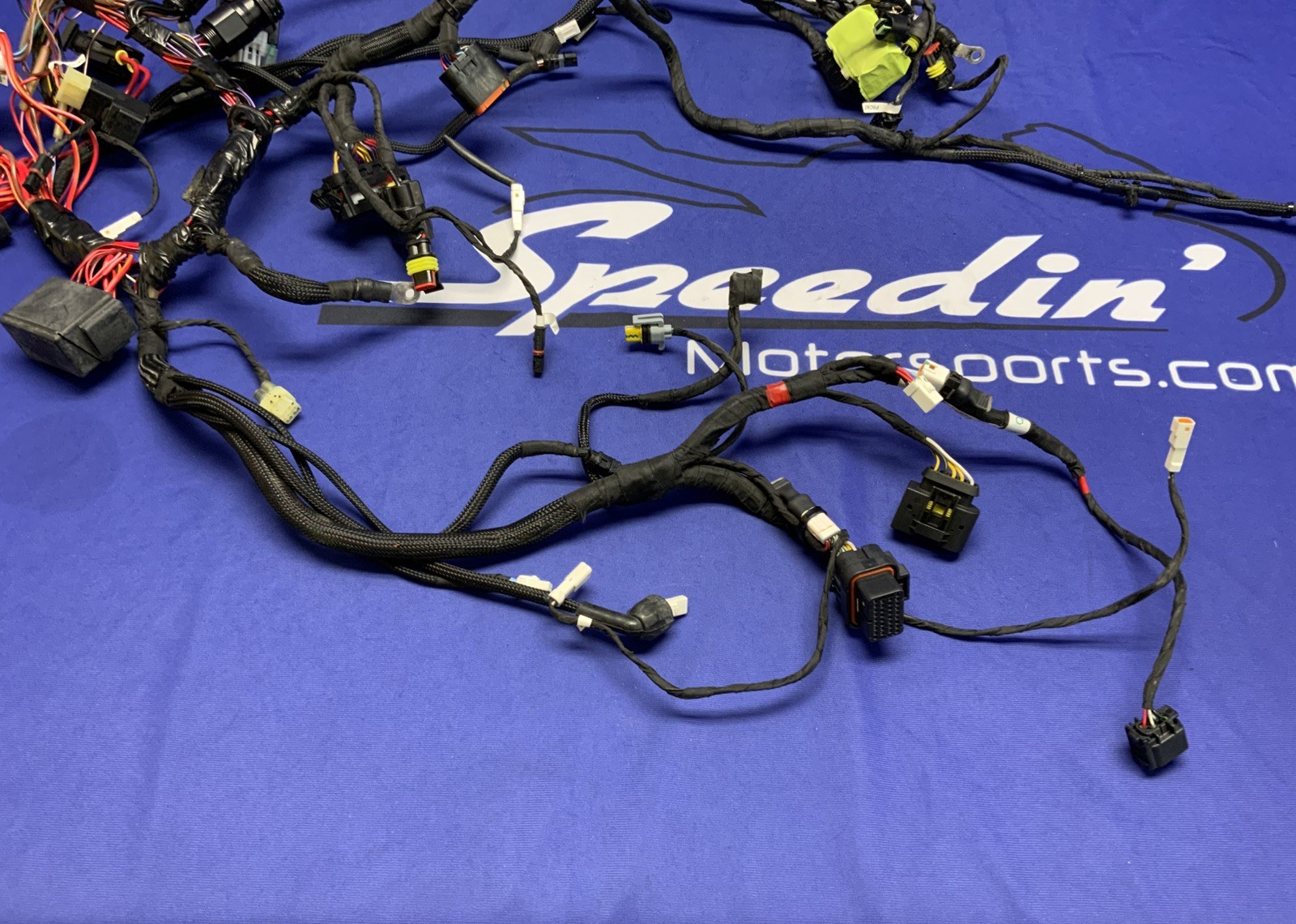Ducati Main Wiring Harness Panigale V4 2022-2024 OEM 5101L281A