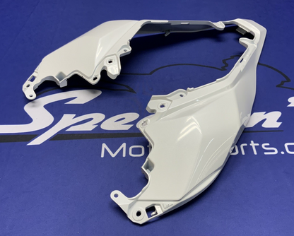 Kawasaki Rear Tail Fairing (40th Ann) ZX-10R/RR 2021-2025 OEM 36042-0007-667